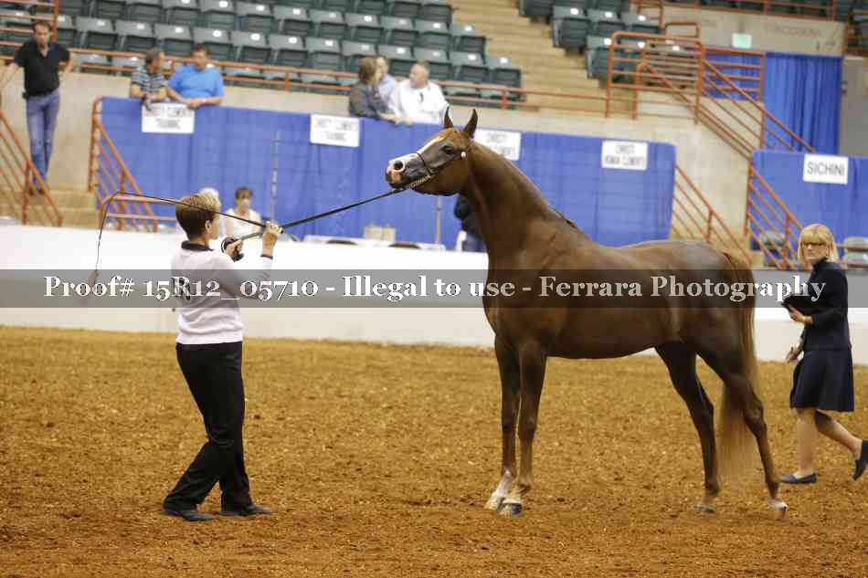 Proof Number 15R12_05710