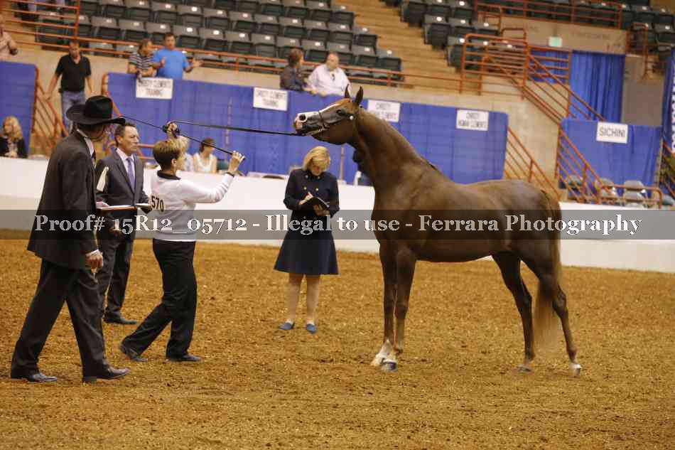 Proof Number 15R12_05712