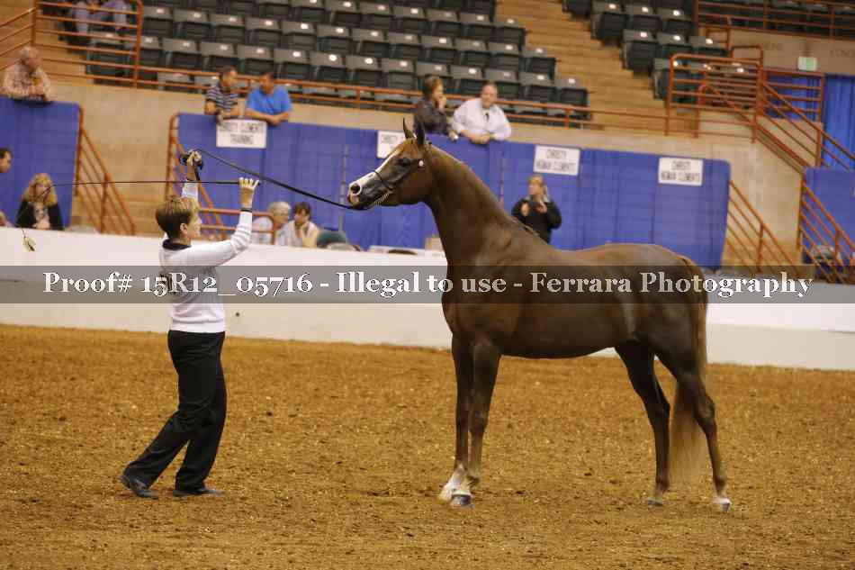 Proof Number 15R12_05716