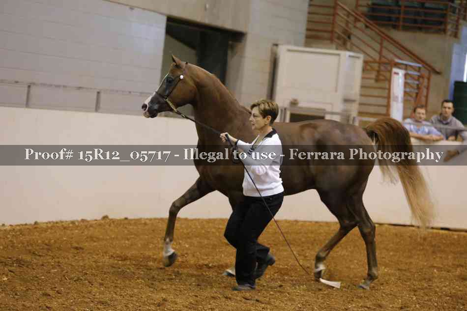 Proof Number 15R12_05717