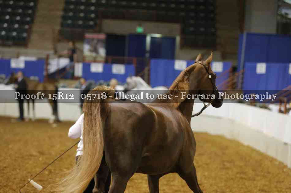 Proof Number 15R12_05718