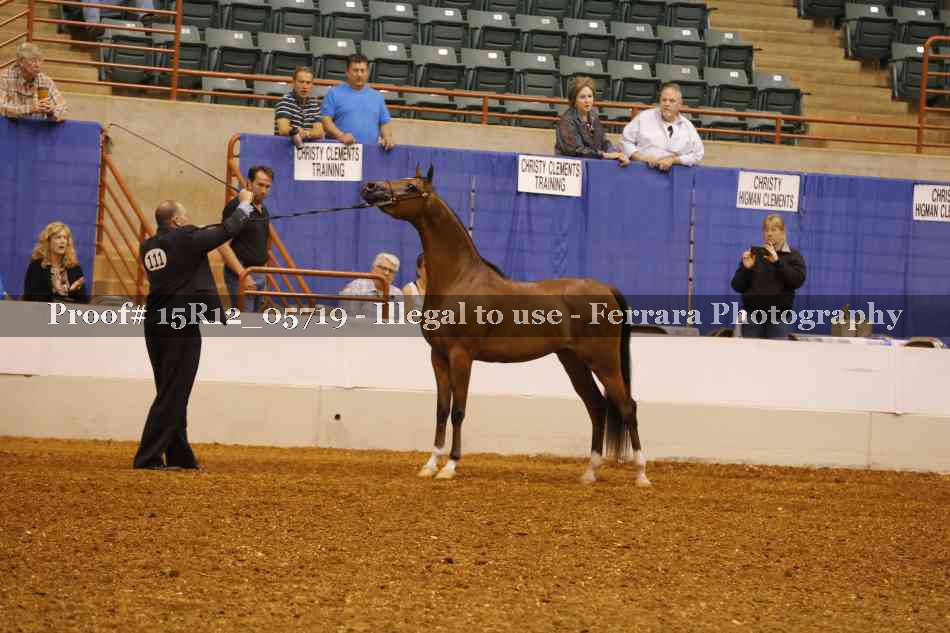 Proof Number 15R12_05719