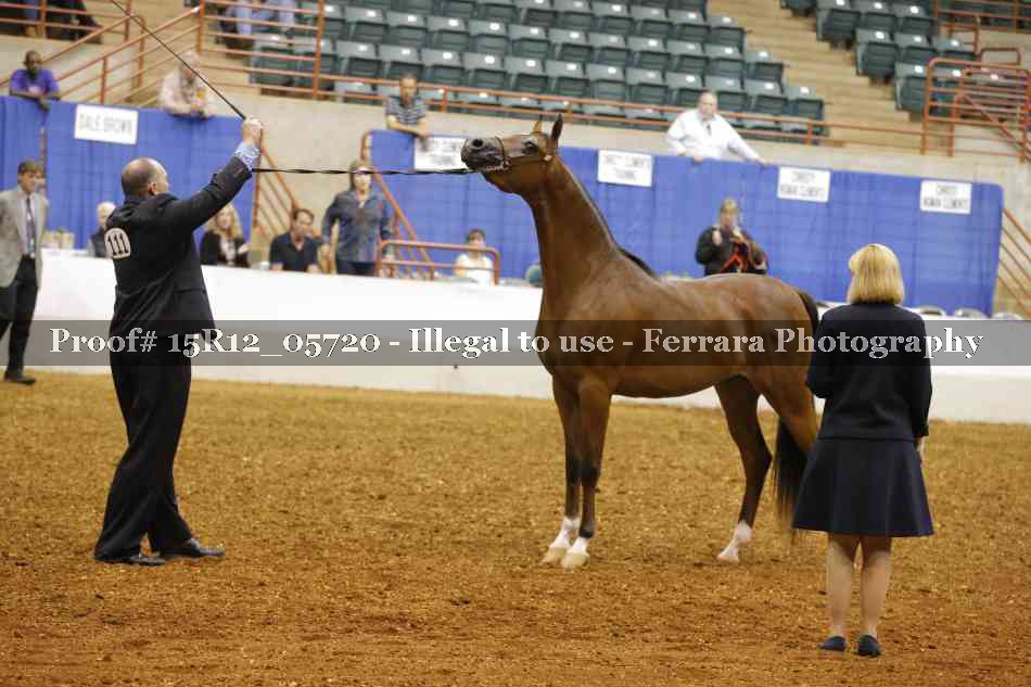Proof Number 15R12_05720
