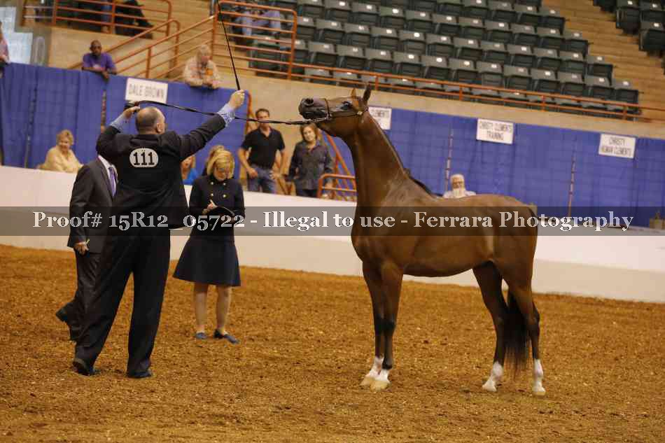 Proof Number 15R12_05722