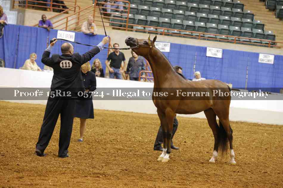 Proof Number 15R12_05724