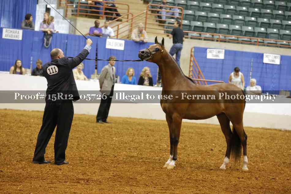 Proof Number 15R12_05726