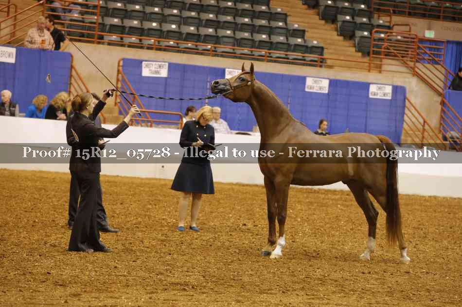 Proof Number 15R12_05728