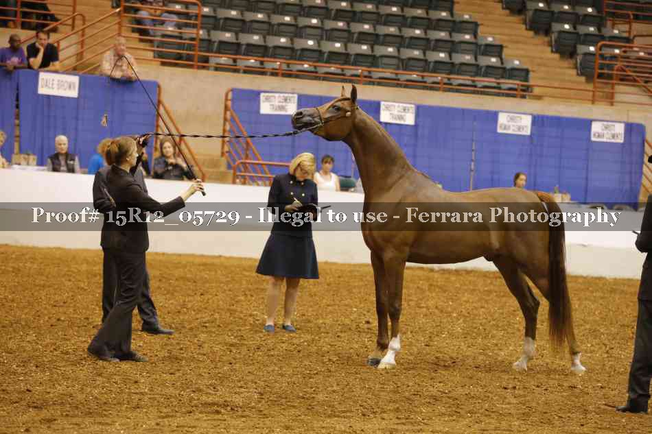 Proof Number 15R12_05729
