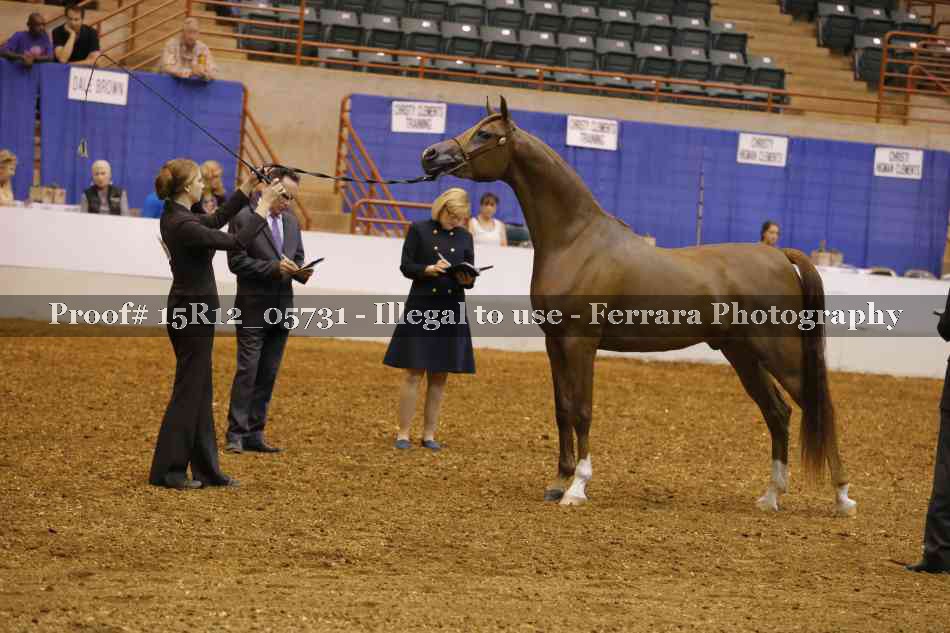 Proof Number 15R12_05731