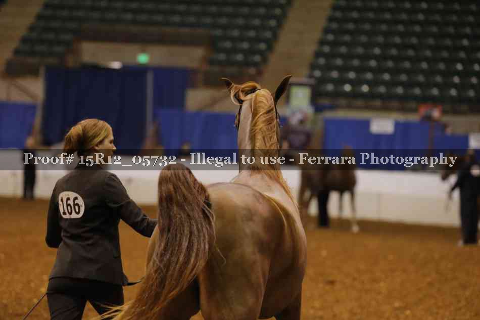 Proof Number 15R12_05732