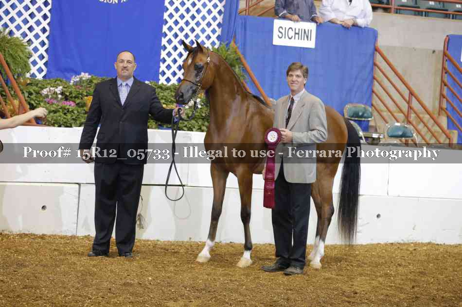Proof Number 15R12_05733