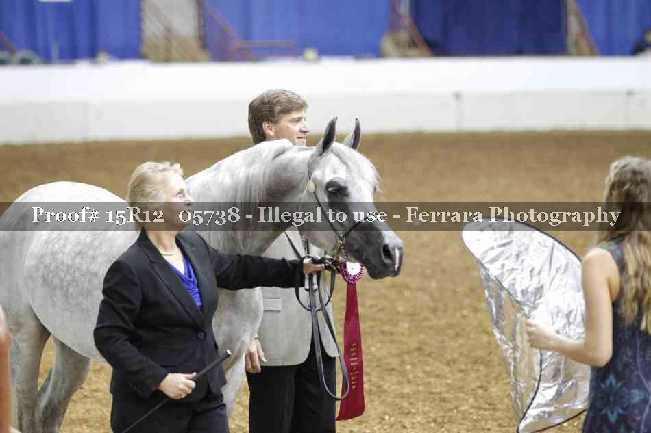 Proof Number 15R12_05738