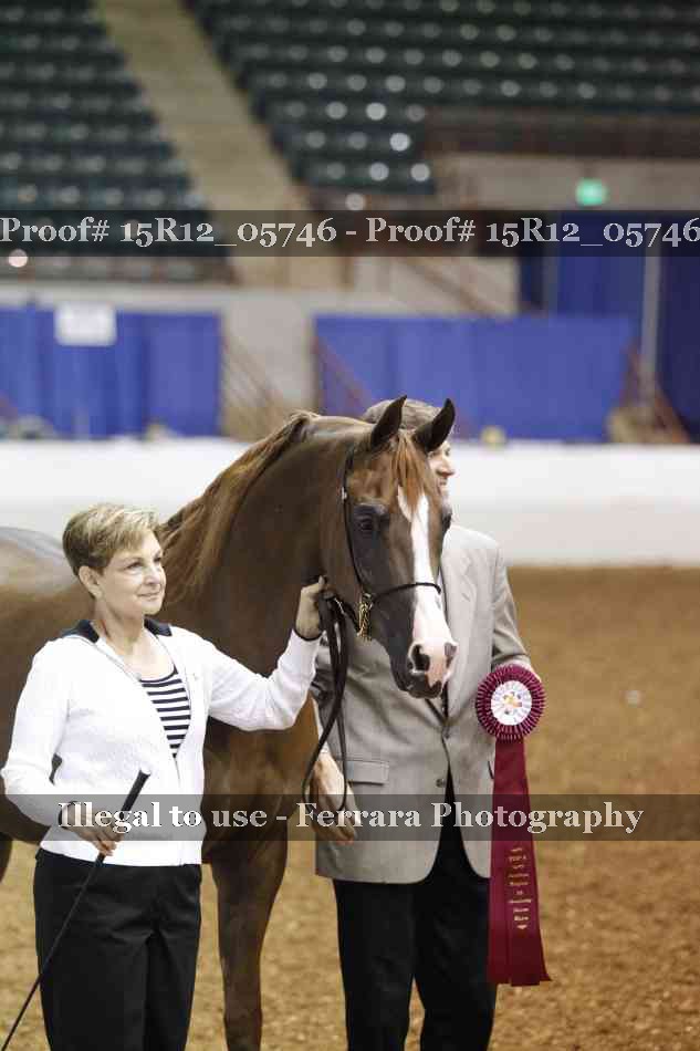 Proof Number 15R12_05746