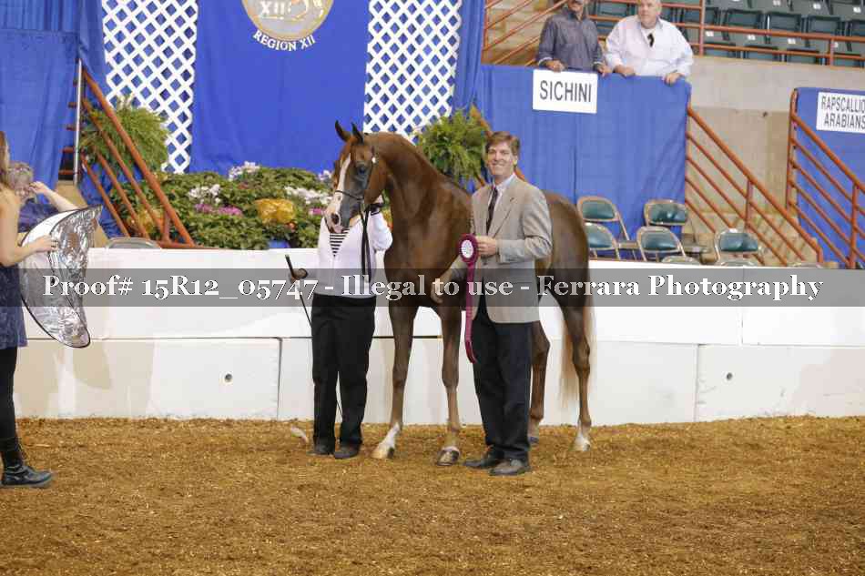 Proof Number 15R12_05747