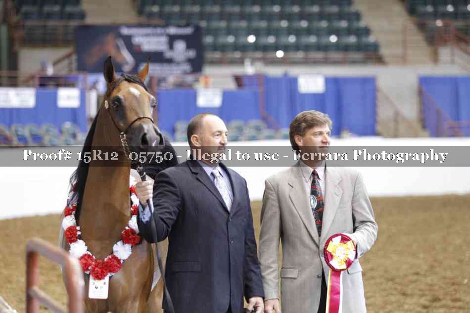 Proof Number 15R12_05750