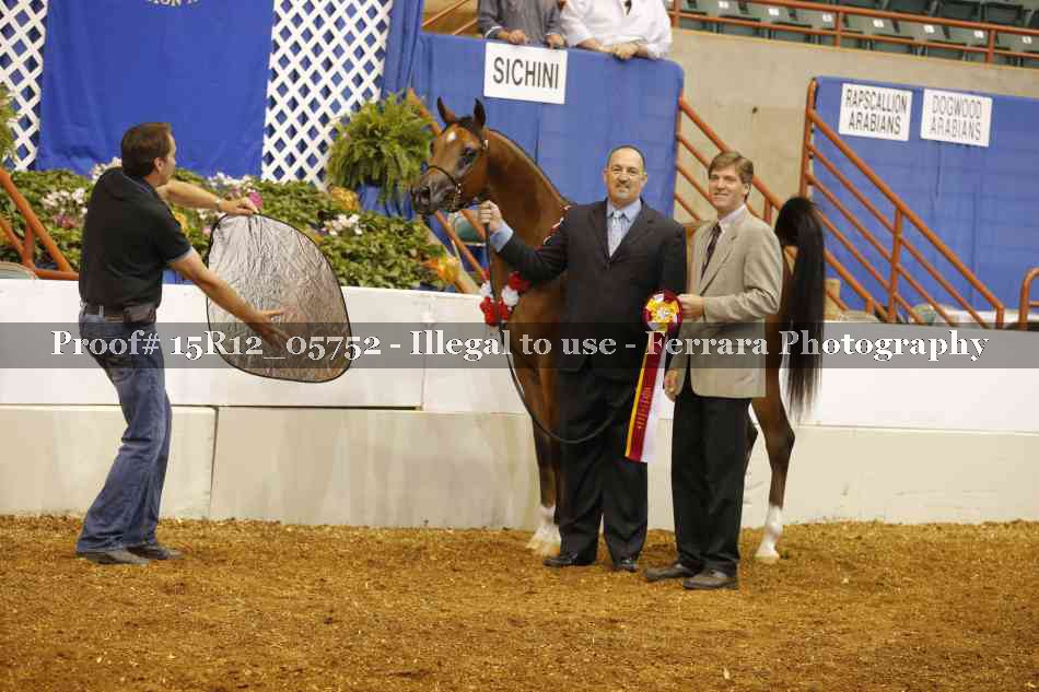 Proof Number 15R12_05752