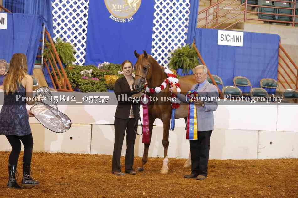 Proof Number 15R12_05757