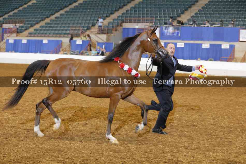 Proof Number 15R12_05760