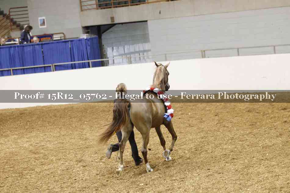 Proof Number 15R12_05762