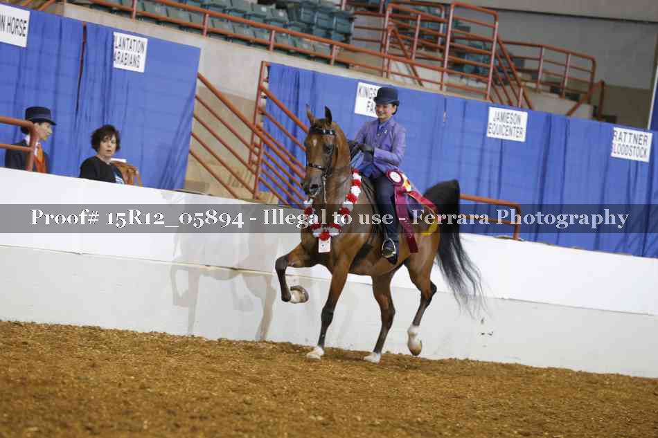 Proof Number 15R12_05894