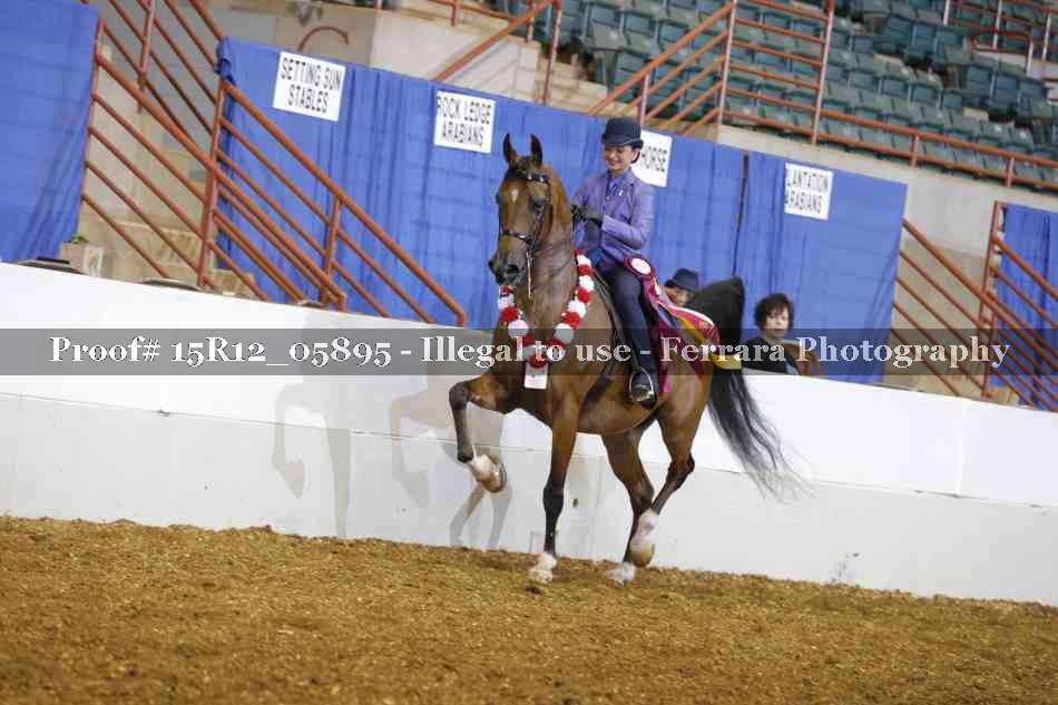 Proof Number 15R12_05895