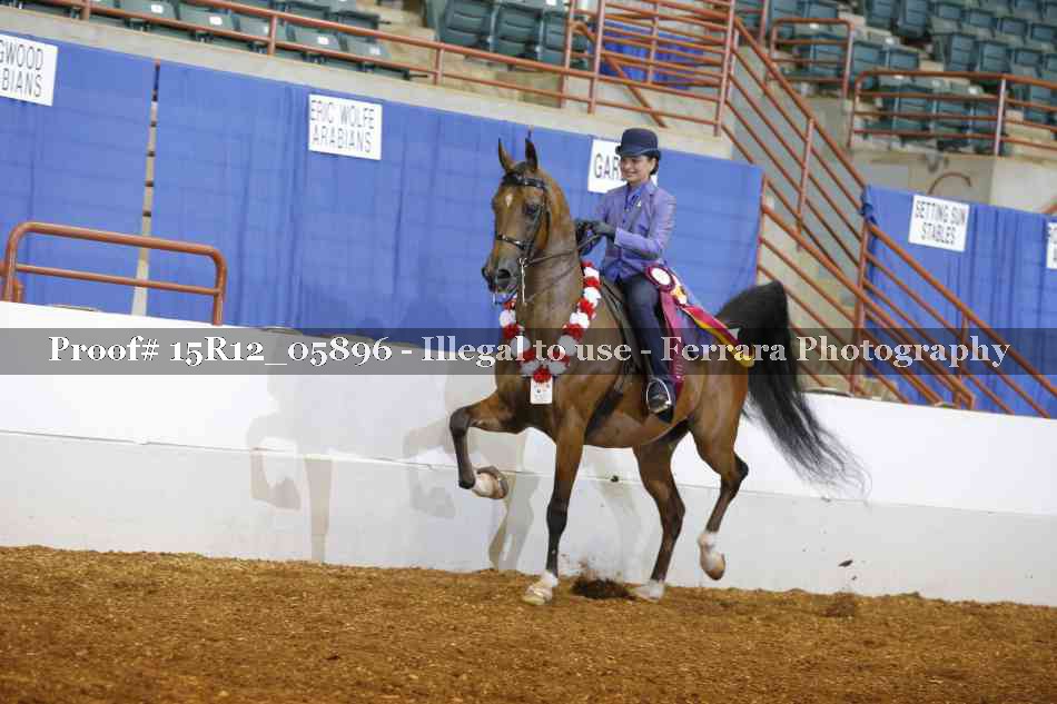 Proof Number 15R12_05896