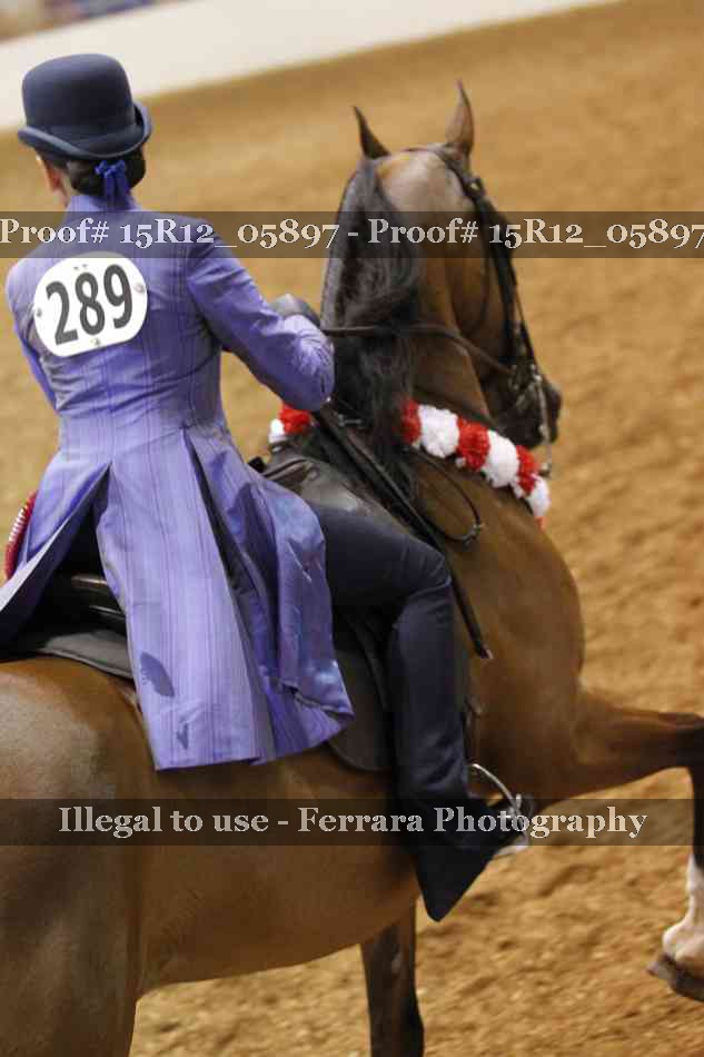 Proof Number 15R12_05897