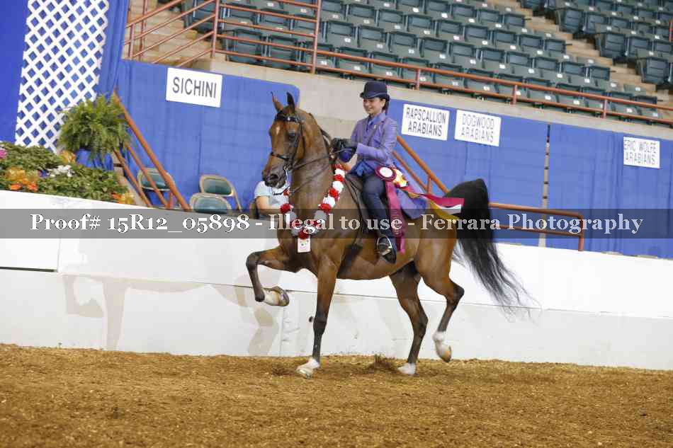 Proof Number 15R12_05898