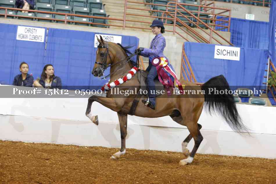 Proof Number 15R12_05900