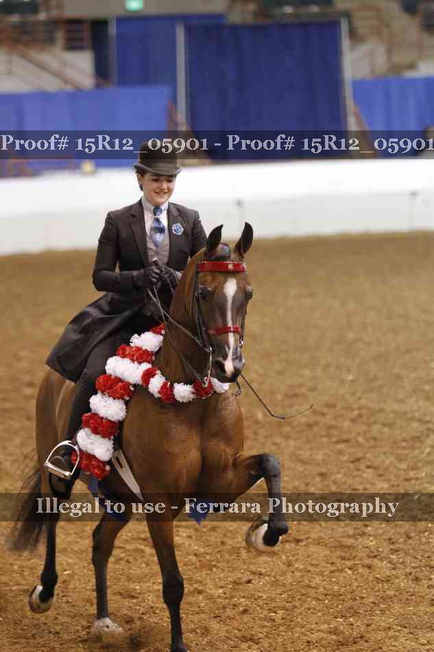 Proof Number 15R12_05901