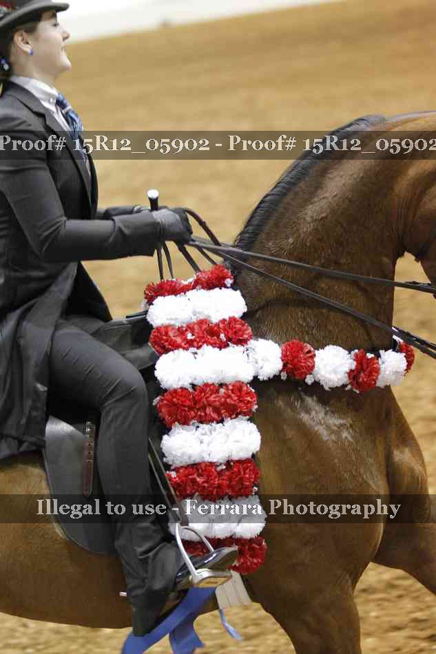 Proof Number 15R12_05902