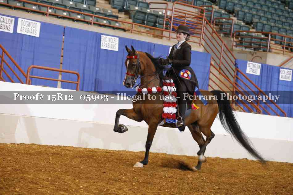 Proof Number 15R12_05903