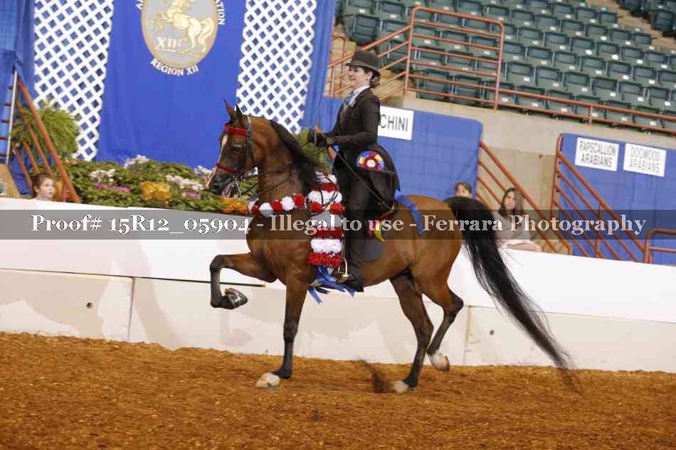 Proof Number 15R12_05904