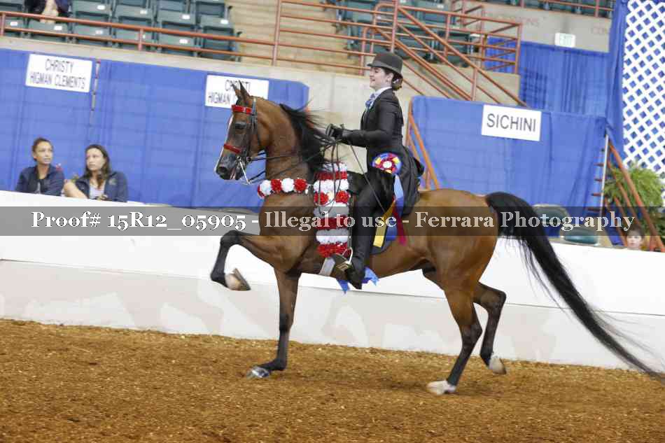 Proof Number 15R12_05905