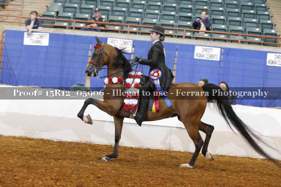 Proof Number 15R12_05906