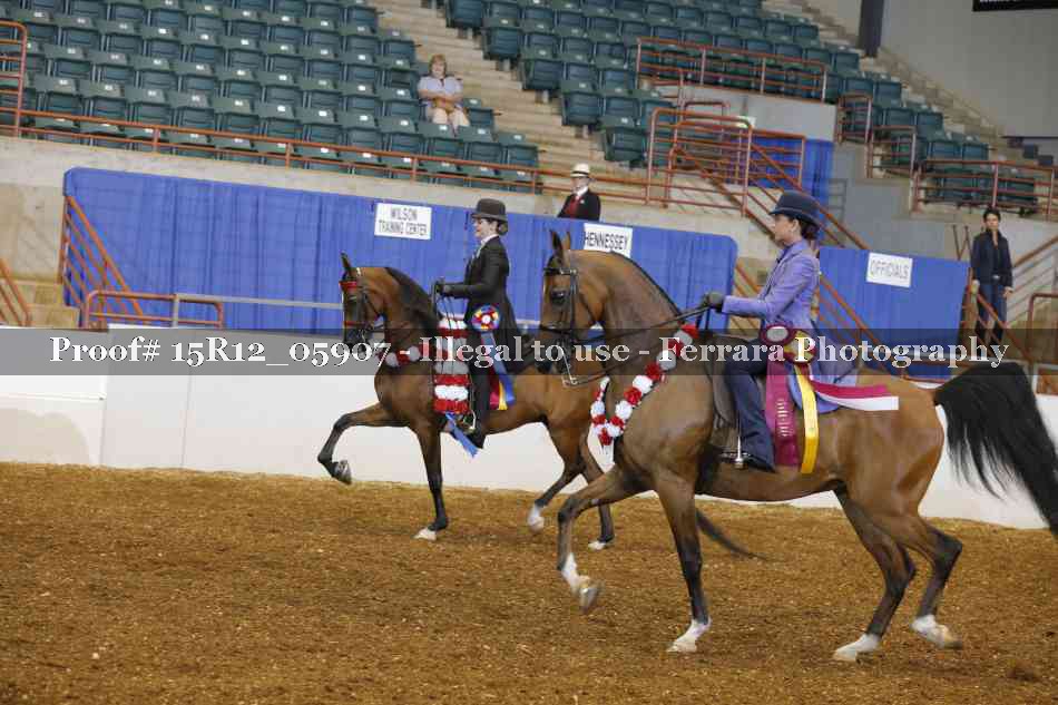 Proof Number 15R12_05907