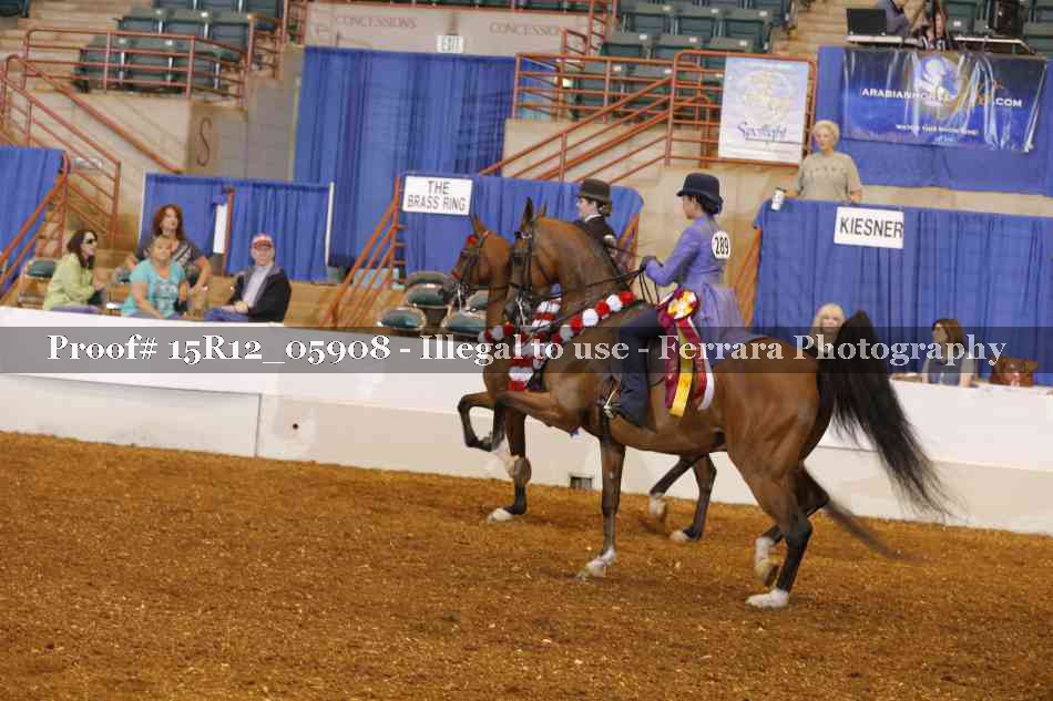 Proof Number 15R12_05908