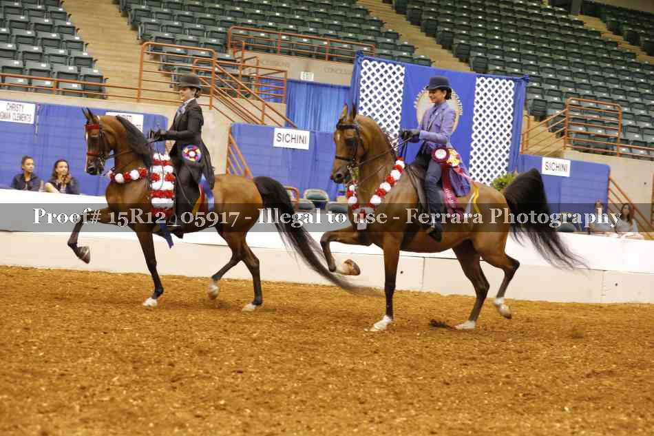 Proof Number 15R12_05917