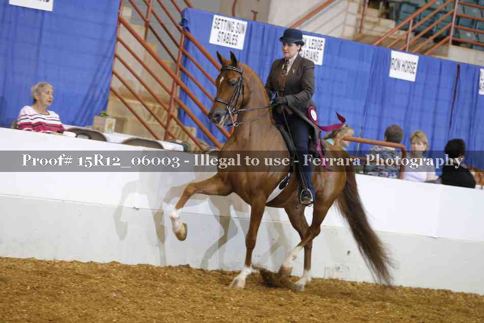 Proof Number 15R12_06003