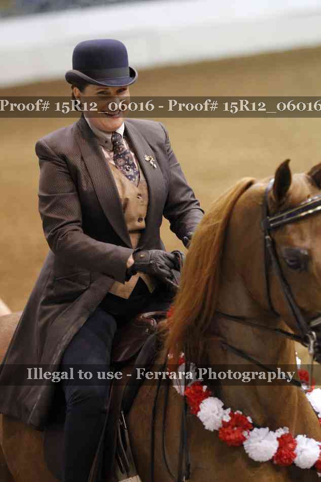 Proof Number 15R12_06016