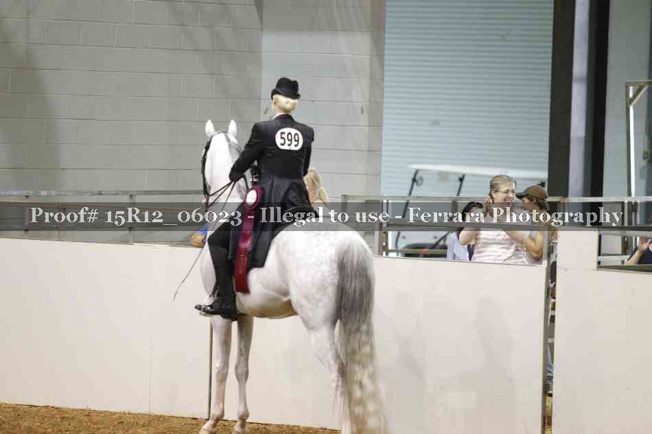 Proof Number 15R12_06023
