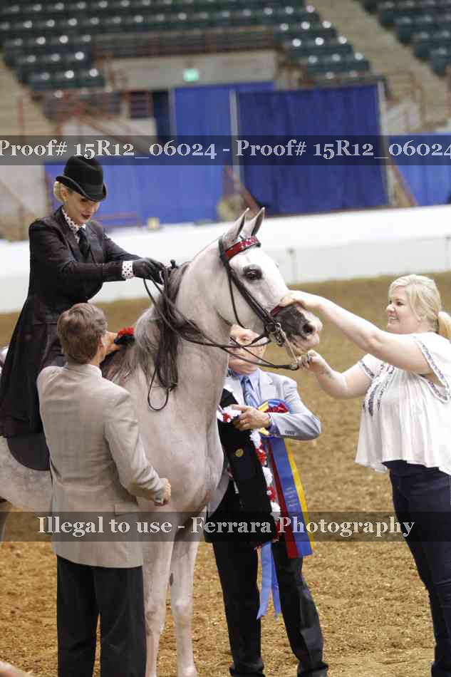 Proof Number 15R12_06024