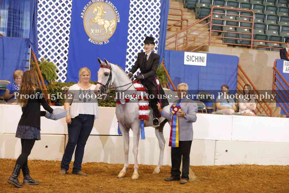 Proof Number 15R12_06027