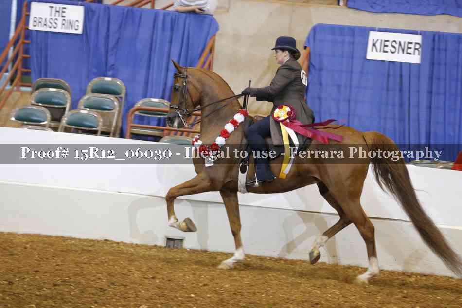 Proof Number 15R12_06030