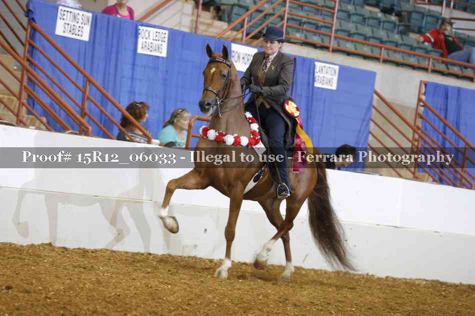 Proof Number 15R12_06033