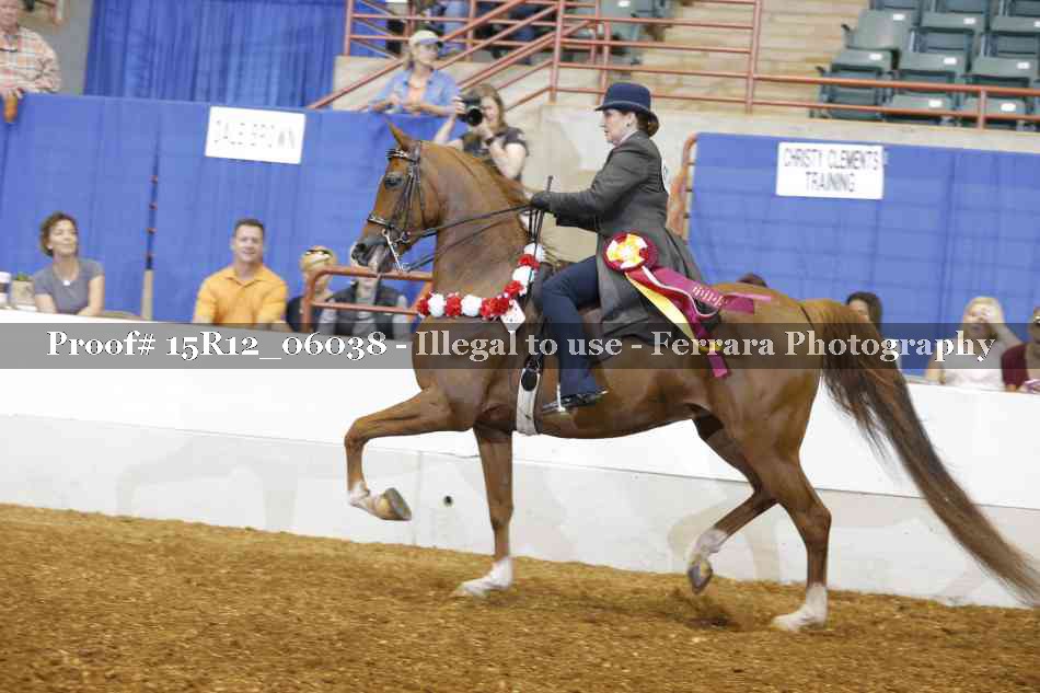 Proof Number 15R12_06038