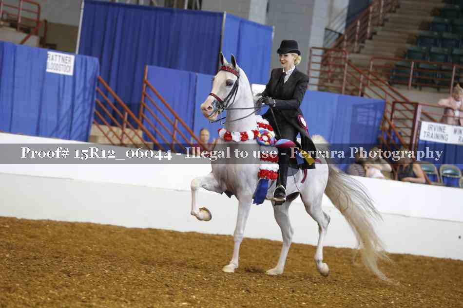 Proof Number 15R12_06044