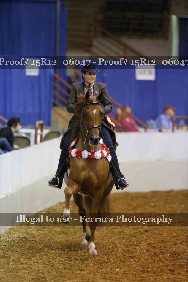 Proof Number 15R12_06047