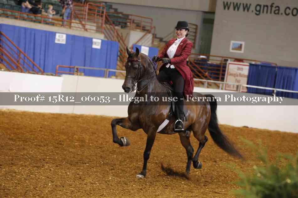 Proof Number 15R12_06053