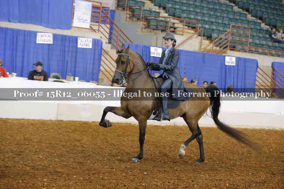 Proof Number 15R12_06055